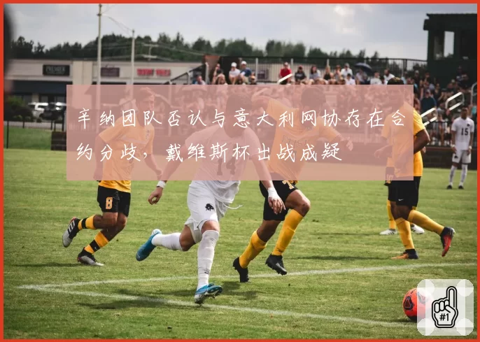 辛纳团队否认与意大利网协存在合约分歧，戴维斯杯出战成疑