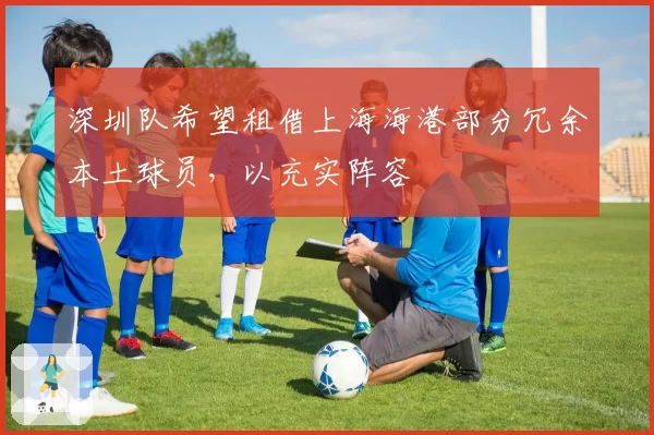 深圳队希望租借上海海港部分冗余本土球员，以充实阵容