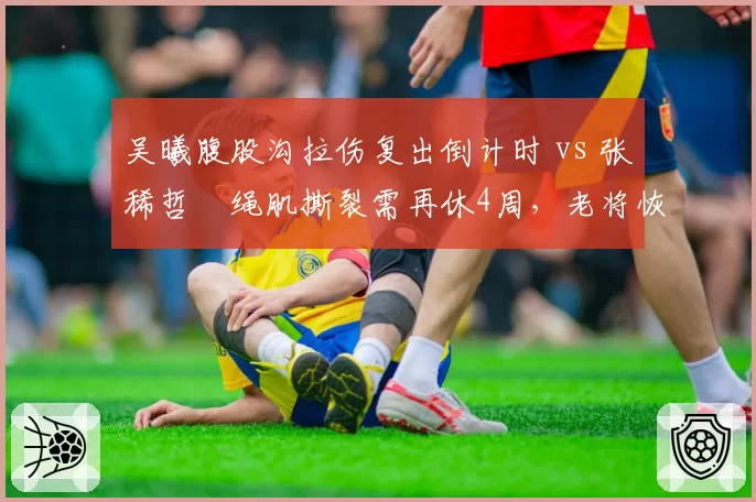 吴曦腹股沟拉伤复出倒计时 vs 张稀哲腘绳肌撕裂需再休4周，老将恢复速度差距明显