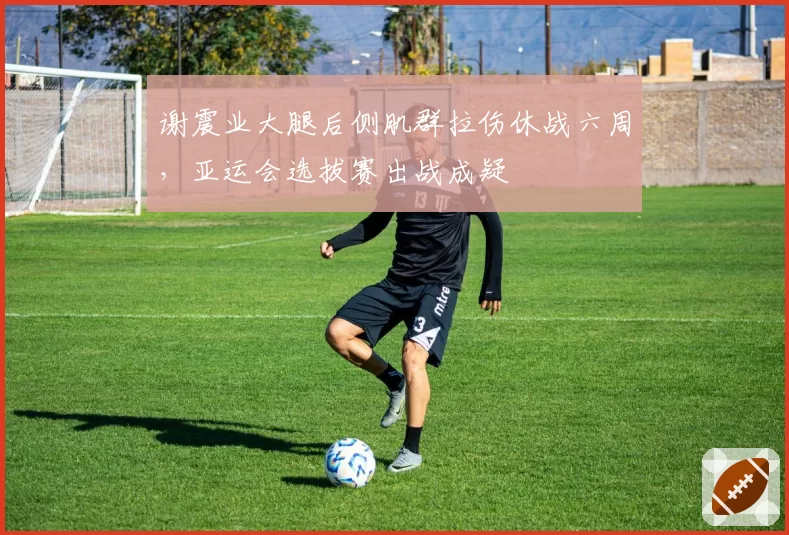 谢震业大腿后侧肌群拉伤休战六周,亚运会选拔赛出战成疑
