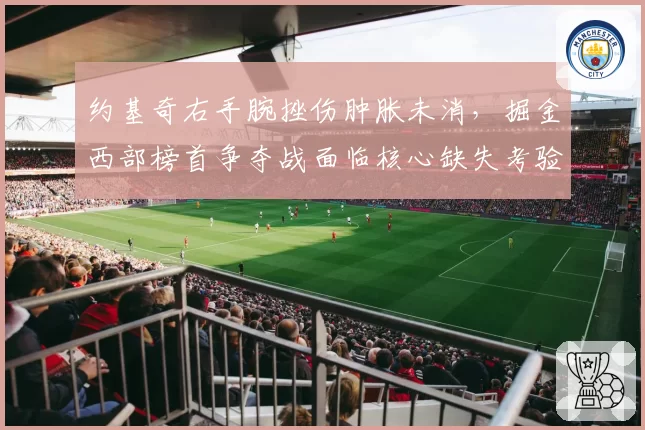 约基奇右手腕挫伤肿胀未消，掘金西部榜首争夺战面临核心缺失考验？