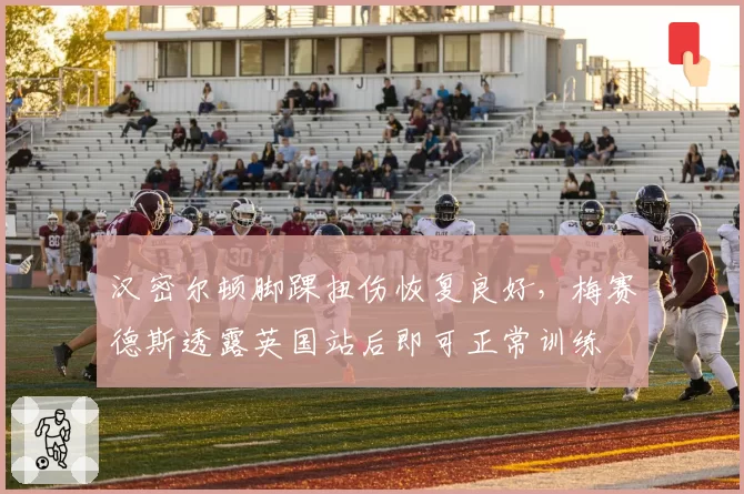 汉密尔顿脚踝扭伤恢复良好，梅赛德斯透露英国站后即可正常训练
