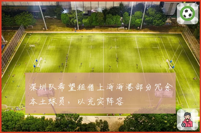 深圳队希望租借上海海港部分冗余本土球员，以充实阵容